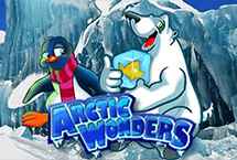 ARCTIC WONDERS