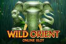 WILD ORIENT